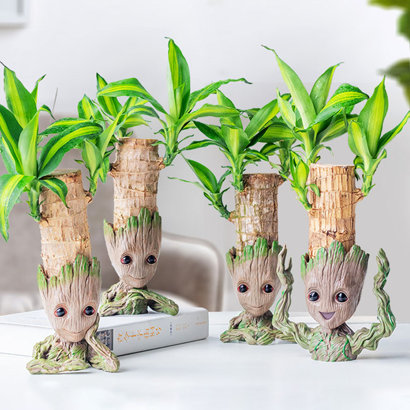 กล่องใส่ปากกาสำนักงานบ้านเก็บต - Plant Parents บทวิจารณ์และราคา