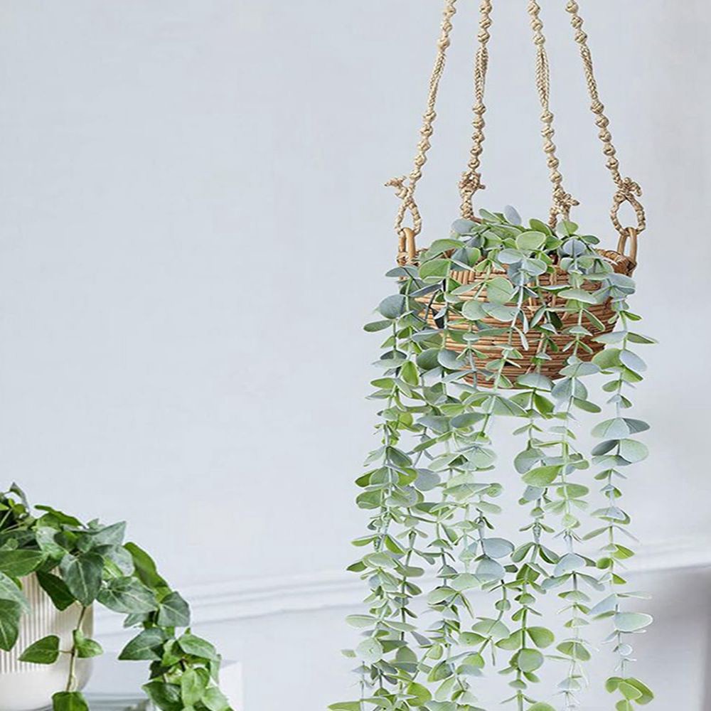ต้นไอวี่ประดิษฐ์ ต้นยูคาลิปตัส - String Of Pearls Plant บทวิจารณ์และราคา