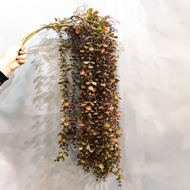 104 ซม.ปลอมยูคาลิปตัสหวายพืชปร - String Of Pearls Plant บทวิจารณ์และราคา