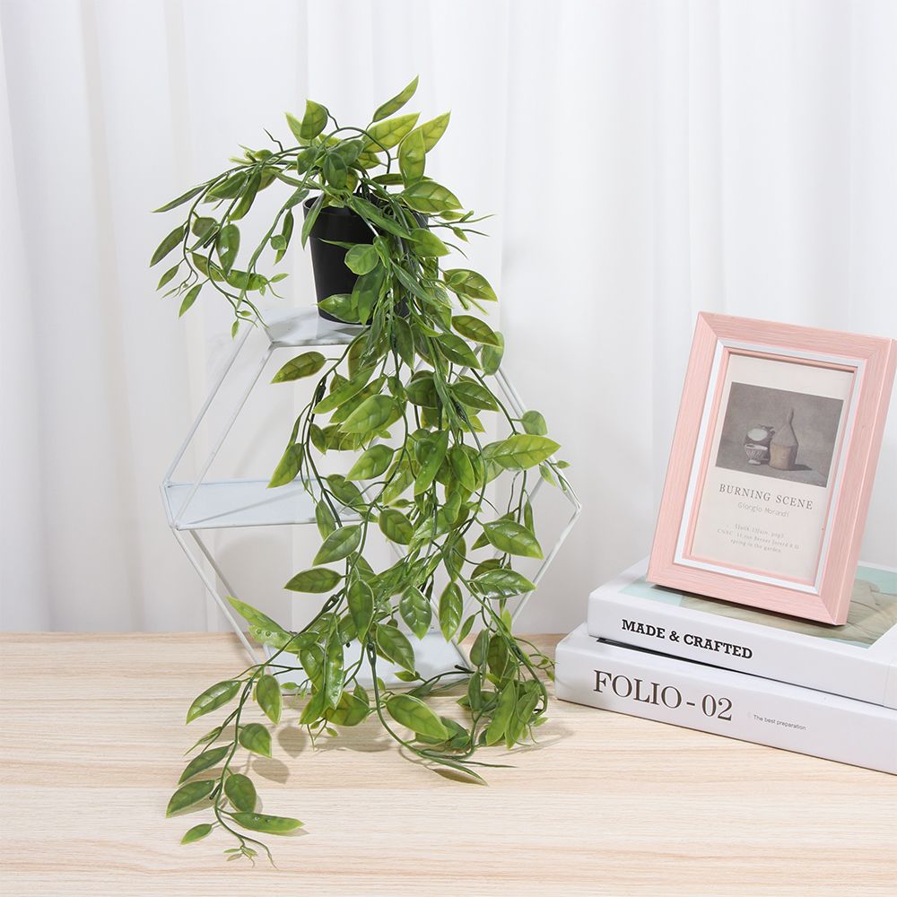 พืชแขวนประดิษฐ์พร้อมหม้อพืชปลอ - String Of Pearls Plant บทวิจารณ์และราคา