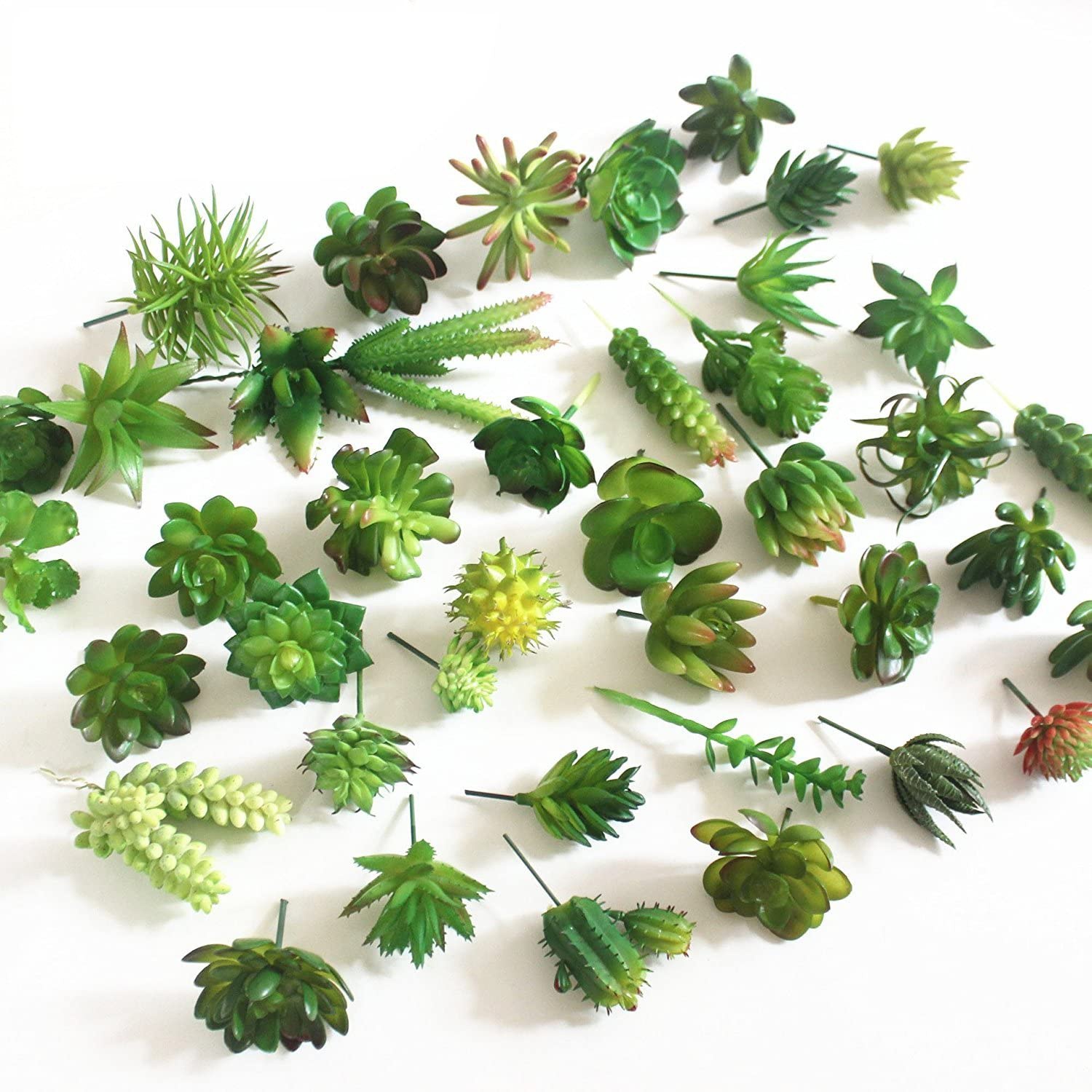 15ชิ้นของตกแต่งพืชอิ่มน้ำปลอมพ - String Of Pearls Plant บทวิจารณ์และราคา