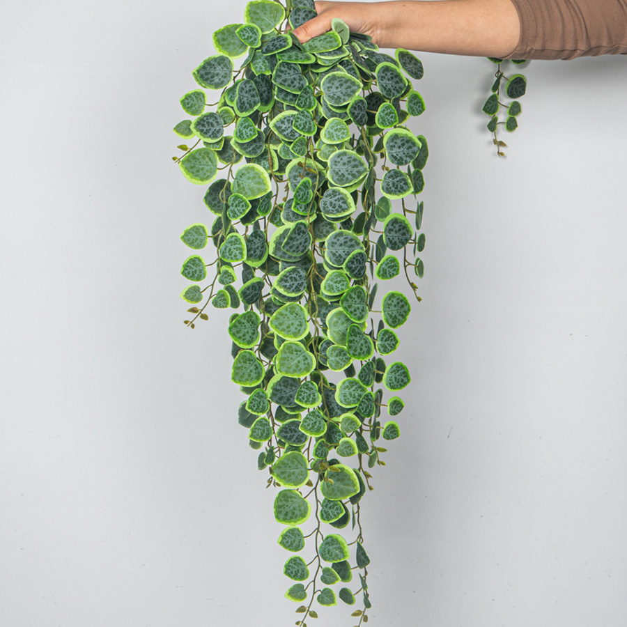 60-80 ซม.ประดิษฐ์แขวน Vines Tr - String Of Pearls Plant บทวิจารณ์และราคา