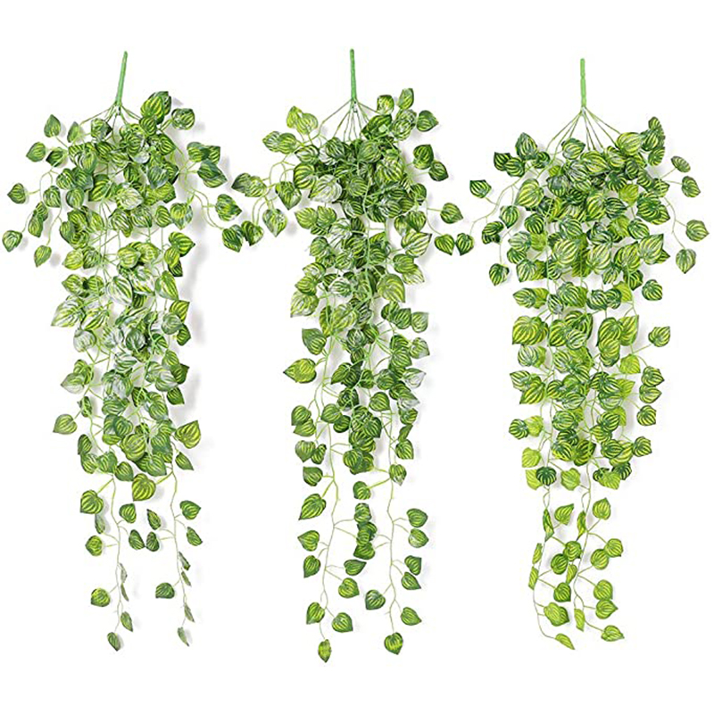 ตะกร้าหวายเทียมแขวนต้นไม้ใบไม้ - String Of Pearls Plant บทวิจารณ์และราคา