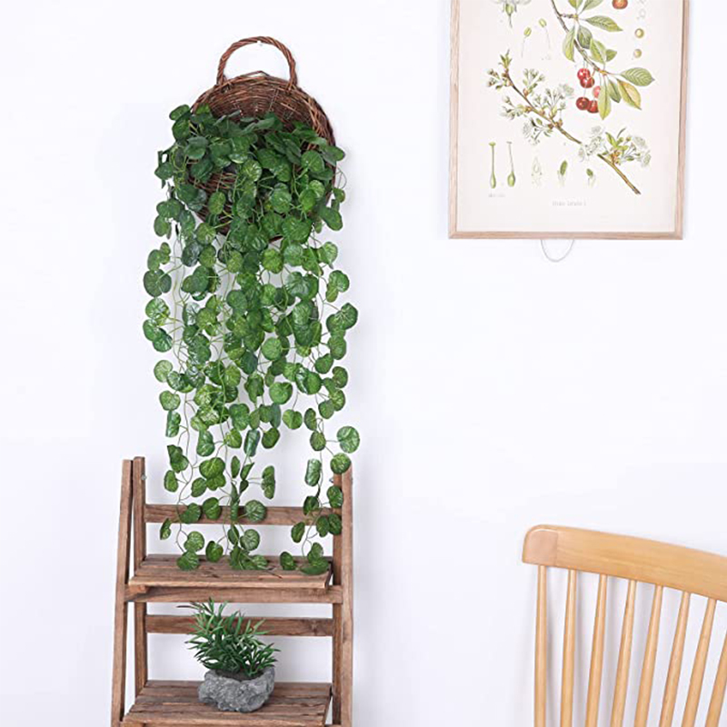 ตะกร้าหวายเทียมแขวนต้นไม้ใบไม้ - String Of Pearls Plant บทวิจารณ์และราคา