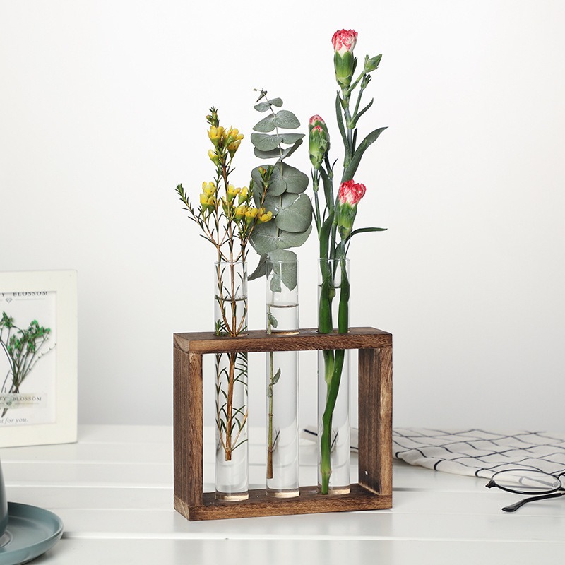 5 หลอดแก้ว Hydroponic Planter  - Plant Parents บทวิจารณ์และราคา