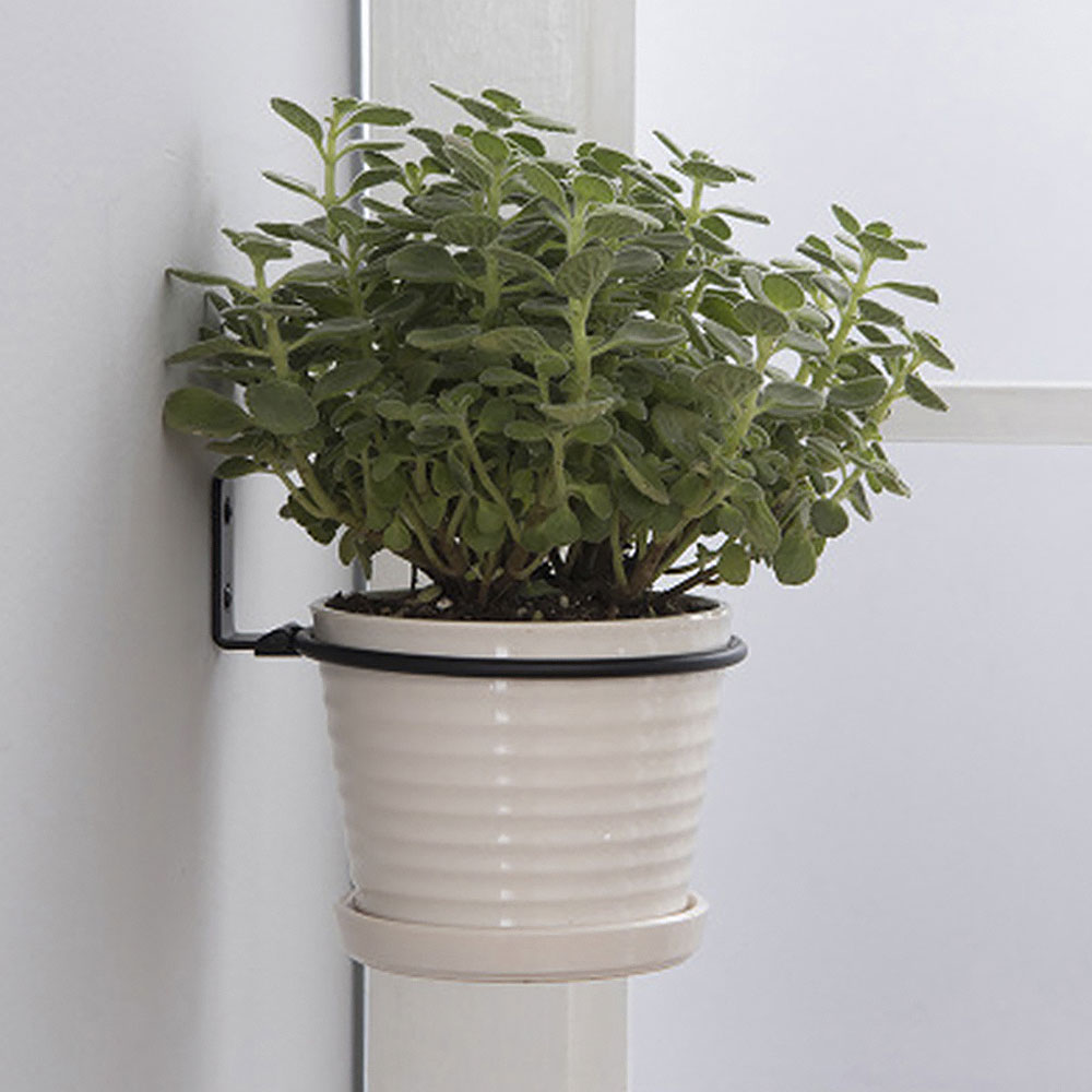 ดอกไม้หม้อถาดติดผนังหม้อผู้ถือ - Plant Parents บทวิจารณ์และราคา
