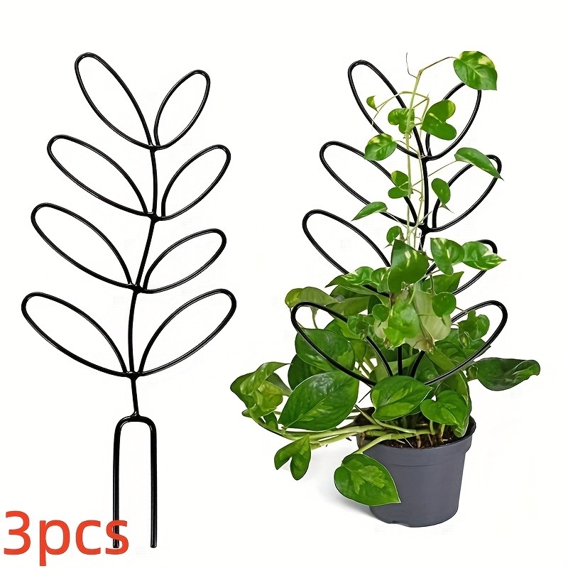 โครงพยุงต้นไม้ 3 ชิ้น เหมาะสำห - Plant Parents บทวิจารณ์และราคา
