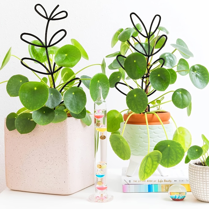 โครงพยุงต้นไม้ 3 ชิ้น เหมาะสำห - Plant Parents บทวิจารณ์และราคา