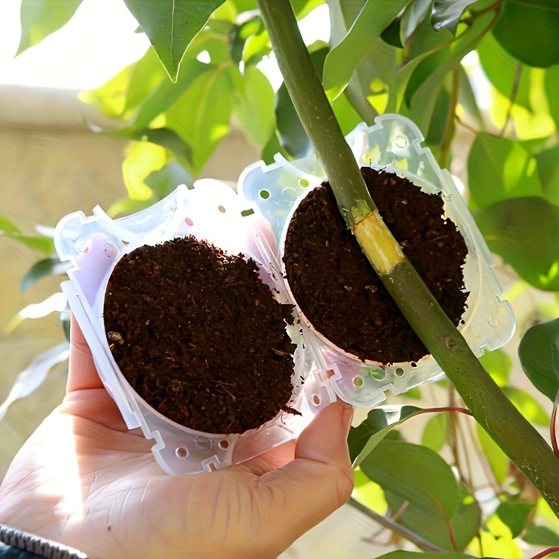 ชุดกล่องเพาะพันธุ์พืช 10 ชิ้น  - Plant Parents บทวิจารณ์และราคา