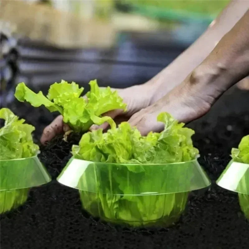 พืช Slug ป้องกันแหวนผักฝาครอบพ - Plant Parents บทวิจารณ์และราคา