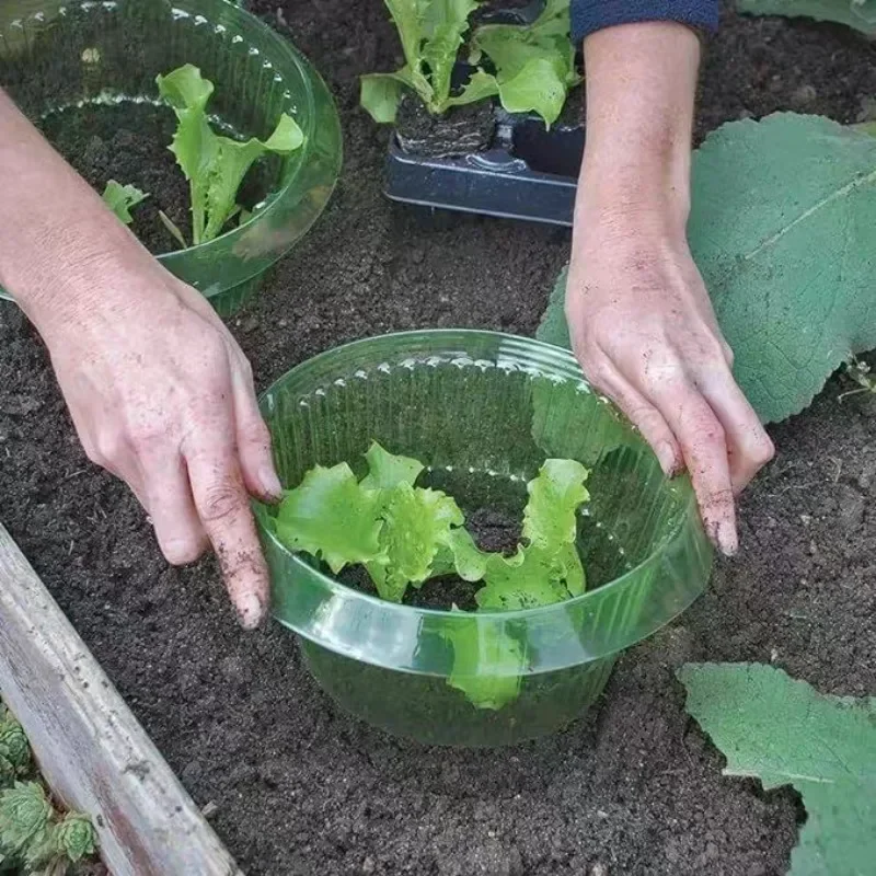 พืช Slug ป้องกันแหวนผักฝาครอบพ - Plant Parents บทวิจารณ์และราคา